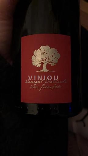 Grisons (Graubünden) Bündner Herrschaft Weingut Eichholz Grünenfelder Pinot Noir 2019