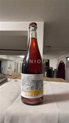 Rượu vang Rosé sec Dahlem Non millésimé Pháp Alsace Vin de France