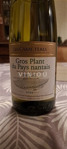 Valea Loarei Gros-plant-du-pays-nantais Les Caractères Sur lie 2024