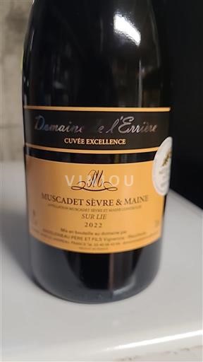 Valea Loarei Muscadet-Sèvre și Maine Domaine L'Errière Excellence 2022