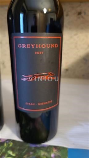 Languedoc Greyhound Ruby 2024