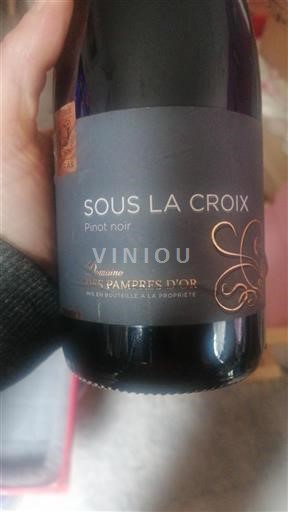 Beaujolais Domaine S Pampres d'Or Sous la Croix 2016