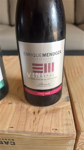 Murcia Alicante Enrique Mendoza Finca El Serratón Pinot Noir 2024