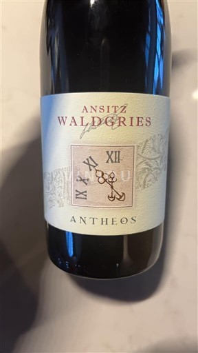Venetia Valdadige Ansitz Waldgries Antheos 2018