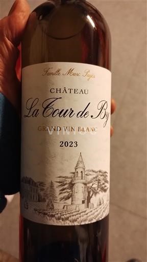 Bordeaux Château La Tour de By 2023