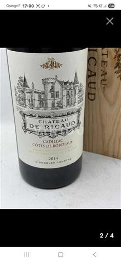 Bordeaux Cadillac-côtes-de-bordeaux Château Ricaud 2014