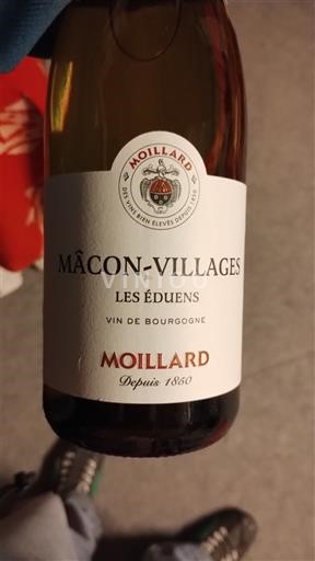 Burgundia Mâcon și mâcon-sate Moillard Les Éduens 2023