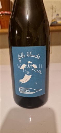 Valea Loarei Gros-plant-du-pays-nantais Domaine Sébastien David Folle Blanche Nemilésimat