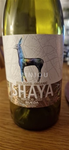 Castilia și León Rueda Shaya 2023