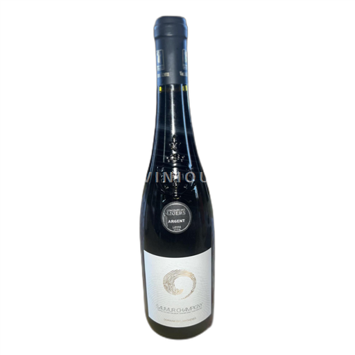 Loiren laakso Saumur-champigny Domaine des Raynières 2023