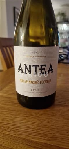 La Rioja Rioja Dominio de los Marqués de Cáceres Antea 2024