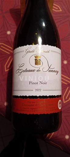 Valea Loarei Coteaux de Tannay Gérald Duault 2022