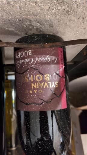 Savoia și Bugey Bugey Cave Sylvain Bois La Grande Collection 2023