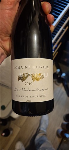 Луарська долина Сент-Нікола-де-Бургейль Domaine Olivier Les Clos Lourioux 2019