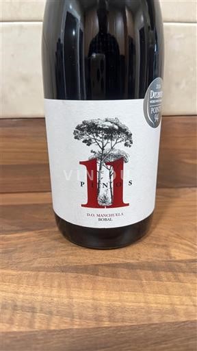 Castilia-La Mancha Manchuela 11 Pinos 2025