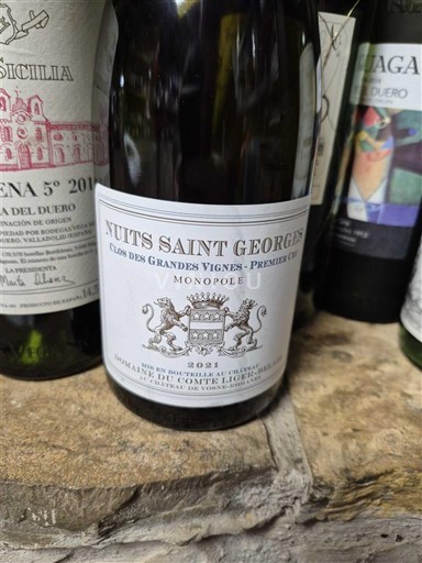 Bourgondië Nuits-saint-georges Premier Cru Domaine Comte Liger-Belair Clos des Grandes Vignes - Premier Cru Monopole 2021
