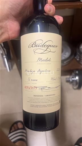 Mendoza Budeguer 2020