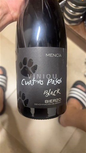 Castilia și León Bierzo Cuatro Pasos Black 2019