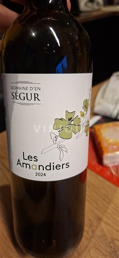 Sud-Vest Côtes du Tarn Domaine En Segur Les Amandiers 2024