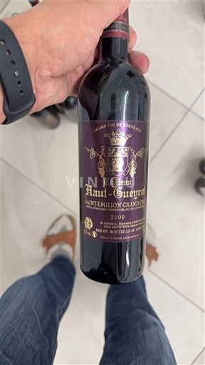 Burdeos Saint-Émilion Gran Cru Grand Cru Château Haut-Gueyrot 2009