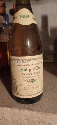 Burgundia Nespecificat Premier Cru Louis Max Clos Saint-Jacques 1995