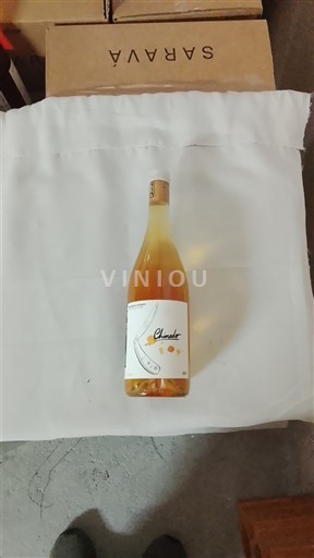 Portugalia Nespecificat Joao Manuel Neto Tereso 2023