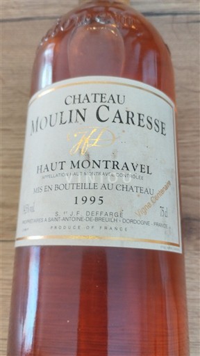 Sud-Vest Haut-Montravel Château Moulin Caresse 1995
