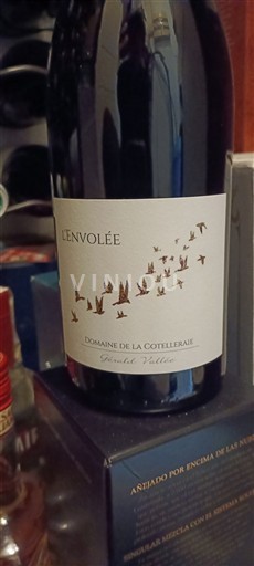 Valle del Loira Saint-Nicolas-De-Bourgueil Domaine La Cotelleraie L'Envolée 2022