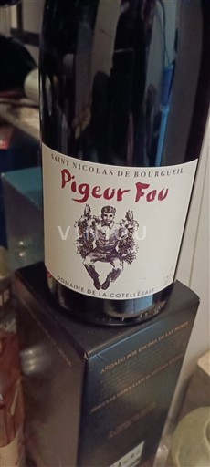 Valle del Loira Saint-Nicolas-De-Bourgueil Domaine La Cotelleraie Pigeur Fou 2022