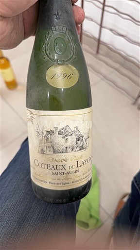 Thung lũng sông Loire Coteaux-du-layon Domaine Ogereau 1996