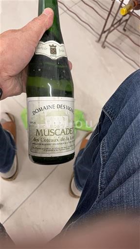 Valea Loarei Muscadet-Coteaux-de-la-Loire Domaine Vignes Nemilésimat