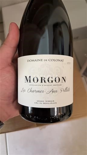Beaujolais Morgon Domaine Colonat Les Charmes Aux Pillets 2022