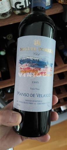 Valea Curicó Miguel Torres Manso de Velasco 1995