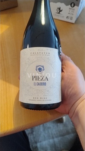 Aragon Calatayud Pieza El Caidero 2021