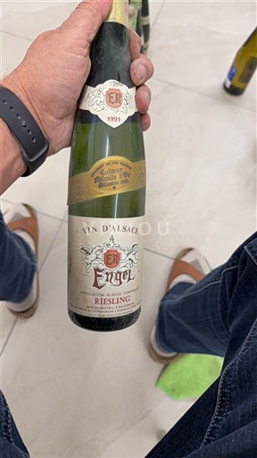 Alsace Ikke specificeret Engel 1991