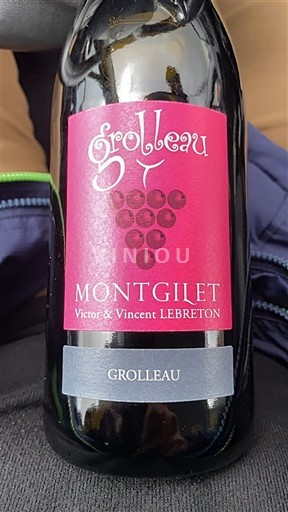 Valle del Loira No especificado Montgilet Grolleau Sin añada