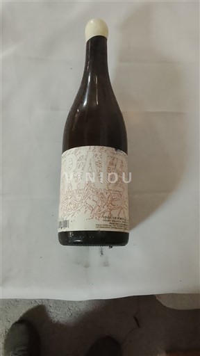 Portugalia Vin verde Tiago teles Raiz 2015