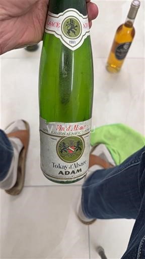 Vini Blanc sec Tokay d'Alsace Adam 1981 Francia Alsazia Vin de France