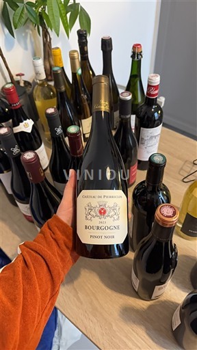 Burgundia Château Pierreclos 2023