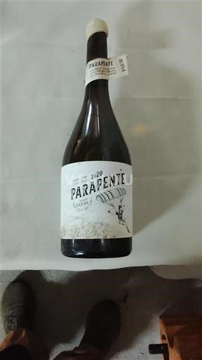 Portugalia Vin verde Parapente 2020