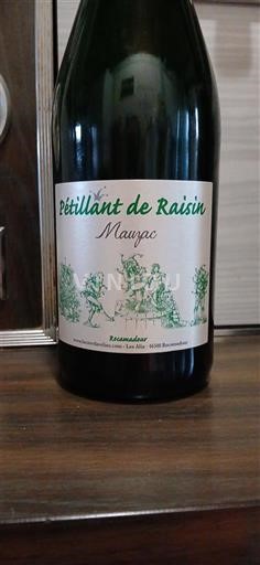 Sud-Vest Rosanisclau Pétillant de Raisin Mauzac 2023