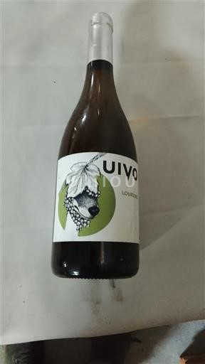 Minho Folias de Baco UIVO loureiro 2020