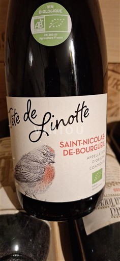 Valle del Loira Saint-Nicolas-De-Bourgueil Tête de Linotte 2021