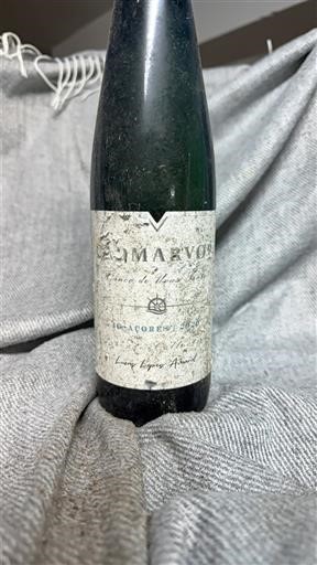 Azore Curral Atlantis Açores Nemilésimat