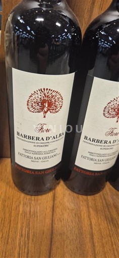 Piemonte Barbera d'Alba Fattoria San Giuliano Fiorè Nemilésimat