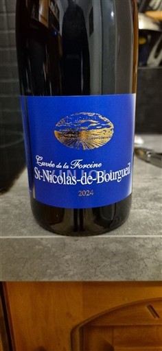 Valle del Loira Saint-Nicolas-De-Bourgueil Cave de la Tonncino 2024