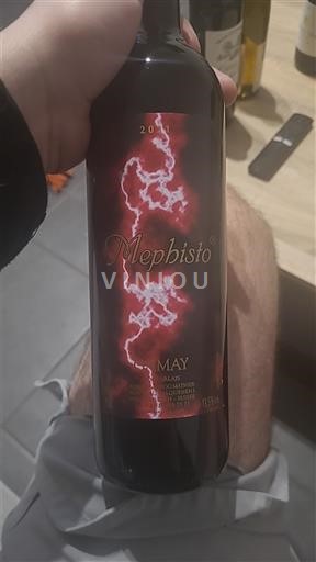 Valais Salquenen Grand Cru Adrian Et Diego Mathier Mephisto 2021