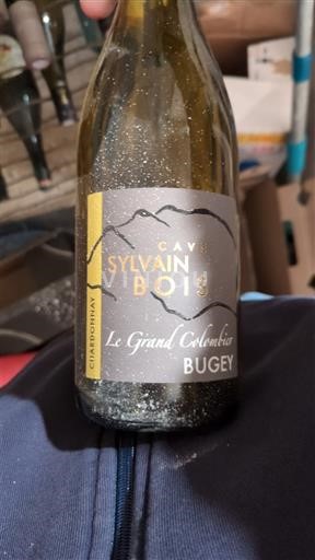 Savoia și Bugey Bugey Cave Sylvain Bois Le Grand Colombier 2023