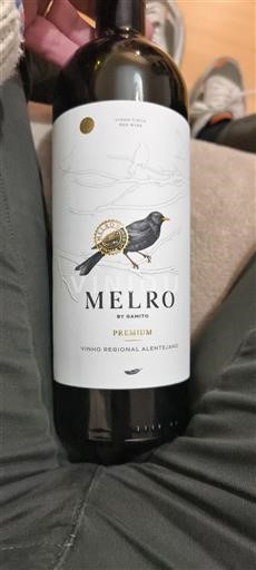 Alentejo Gamito 2023