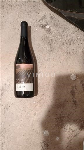 Galileea Galil Mountain Winery, Alon 2013